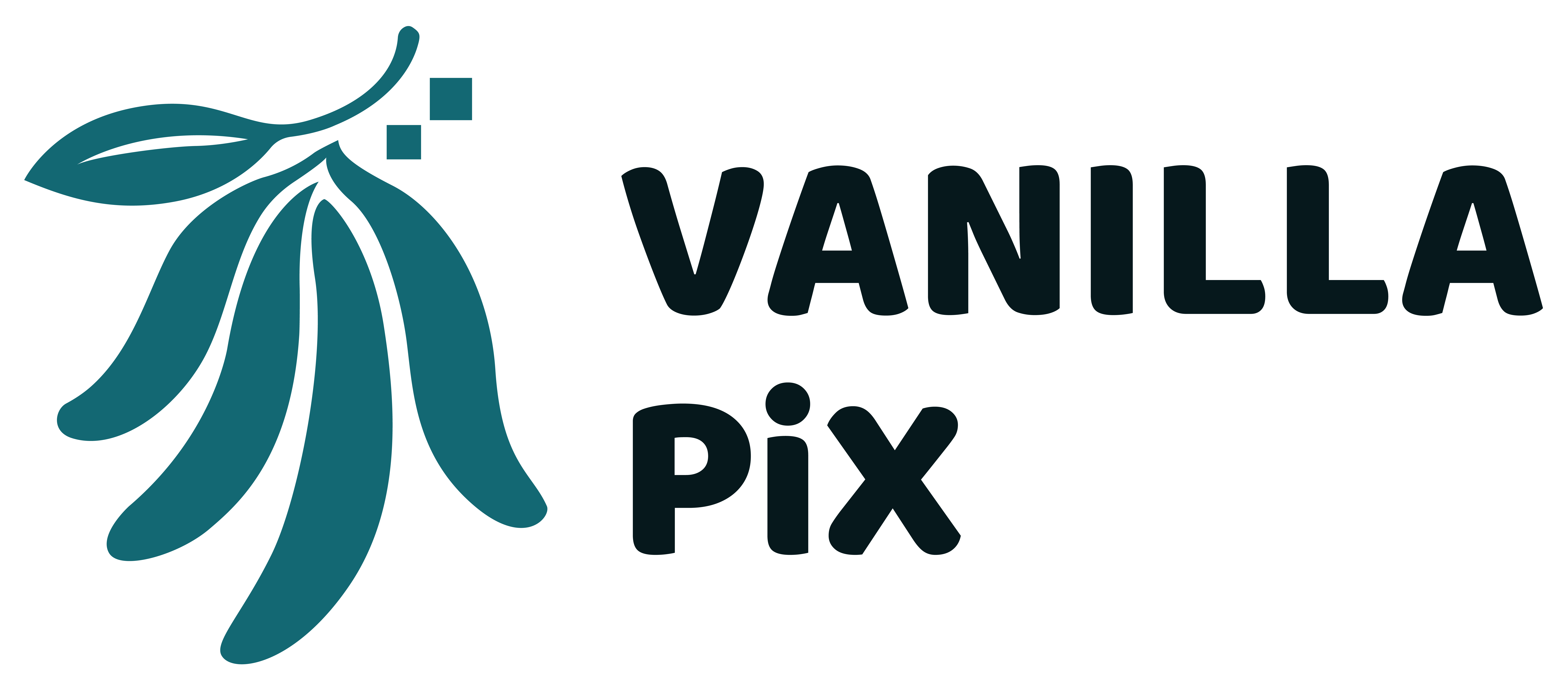 Vanilla Pix Studio